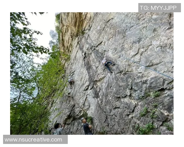 西安攀岩队在比赛中的攻防表现分析与反思